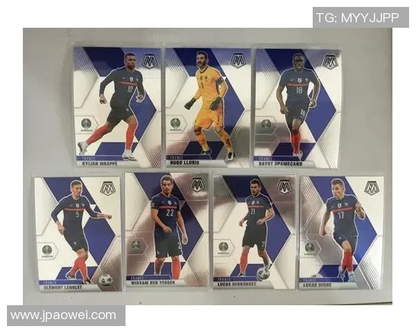 足球明星收集表最新动态与热门球员推荐全解析