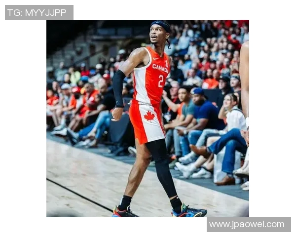 明星篮球场上的传奇人物与他们的精彩故事揭秘